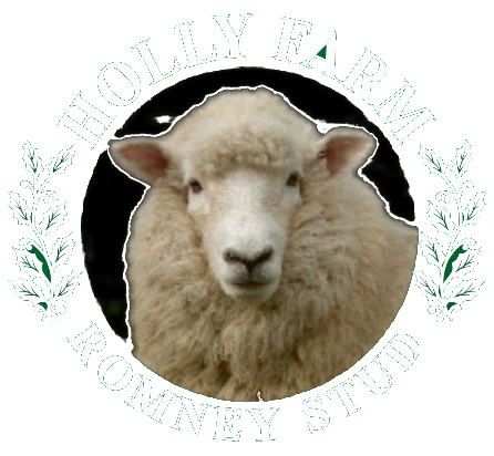 Holly Farm
